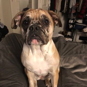 Meet your Posher, Anthony